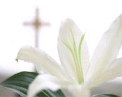Image of lily and cross
